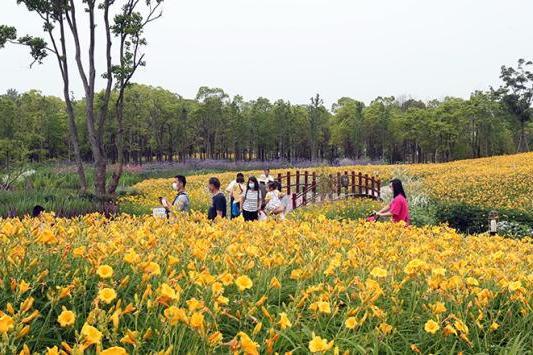 上海最大的花海公園被譽為母親文化公園人少景美還免費