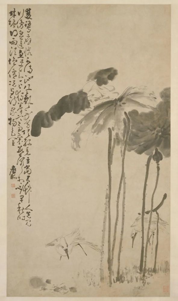 荷鹭图|《荷鹭图》轴 黄慎-中国名画鉴赏语音讲解