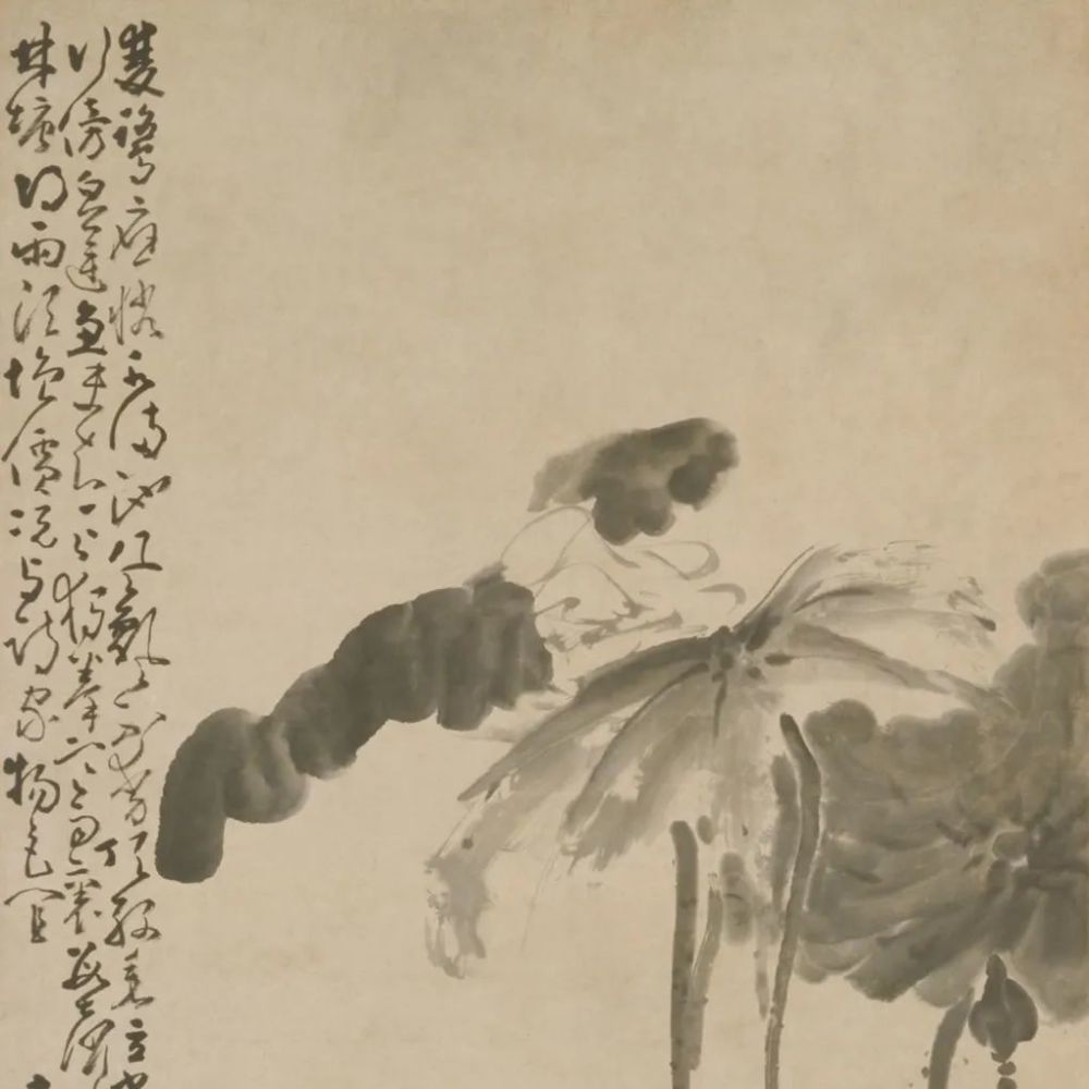 荷鹭图|《荷鹭图》轴 黄慎-中国名画鉴赏语音讲解