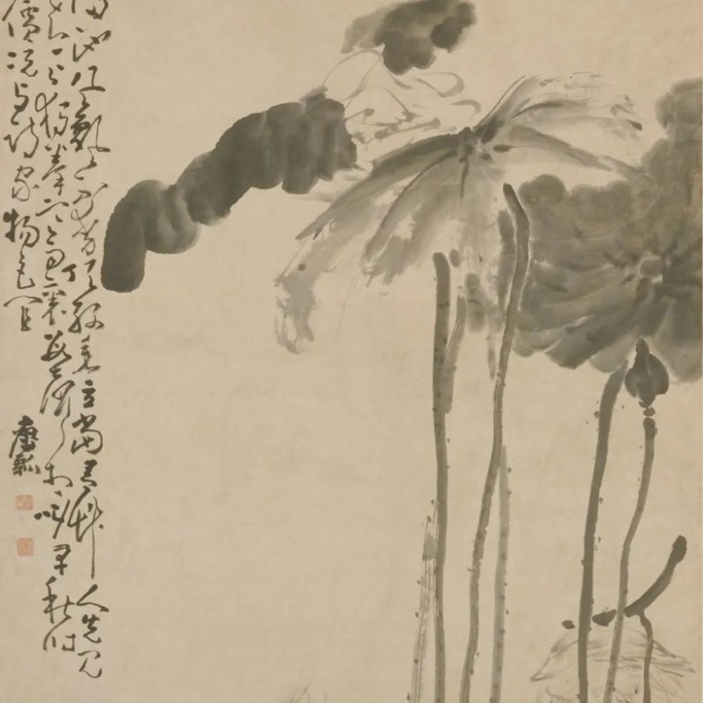 荷鹭图|《荷鹭图》轴 黄慎-中国名画鉴赏语音讲解