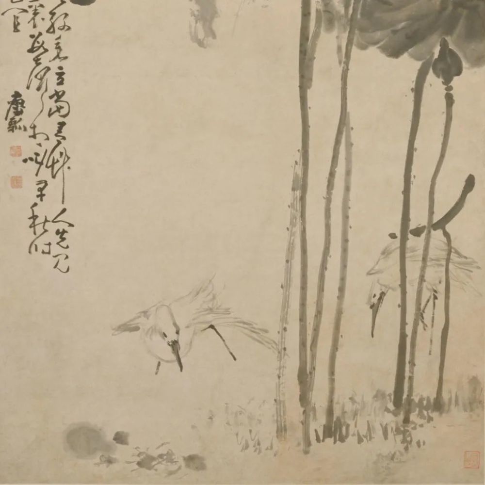 荷鹭图|《荷鹭图》轴 黄慎-中国名画鉴赏语音讲解