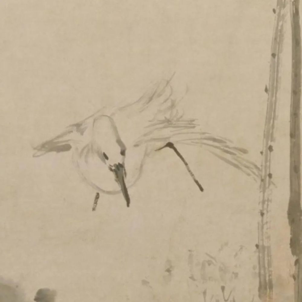 荷鹭图|《荷鹭图》轴 黄慎-中国名画鉴赏语音讲解