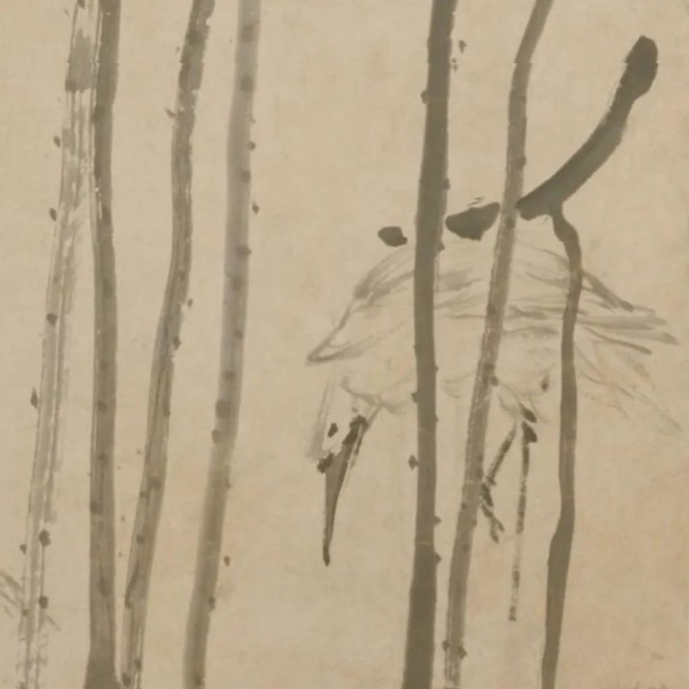 荷鹭图|《荷鹭图》轴 黄慎-中国名画鉴赏语音讲解