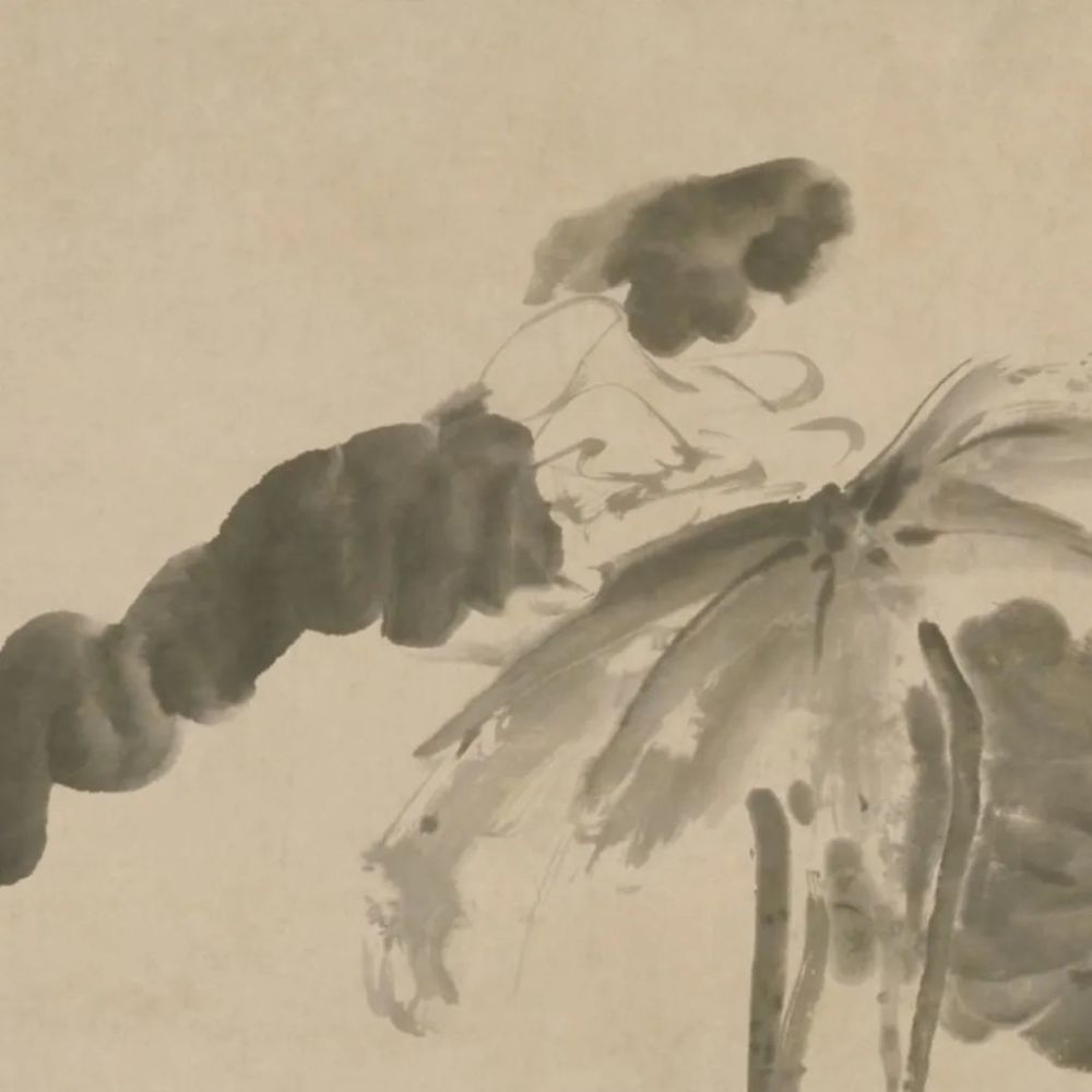 荷鹭图|《荷鹭图》轴 黄慎-中国名画鉴赏语音讲解