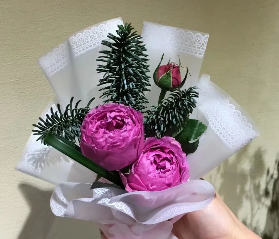 迷雾泡泡花语:少女心,梦幻,萌送花对象自己#花的情感表达#那就点个赞