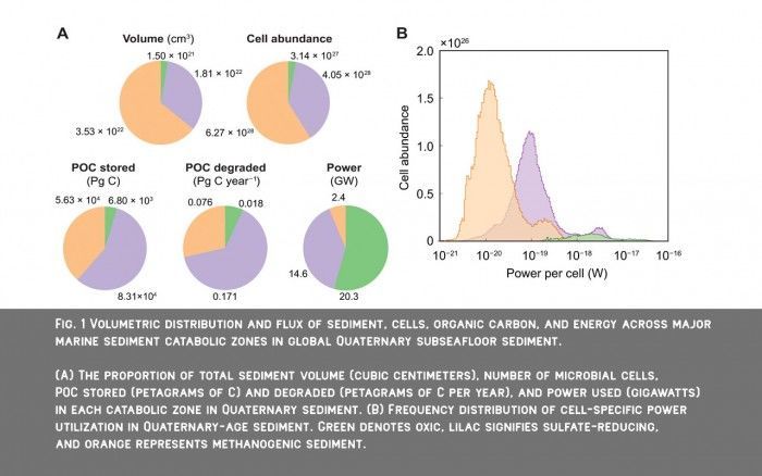 微生物|科学家发现“在极端能量限制下生存数千年”海底微生物