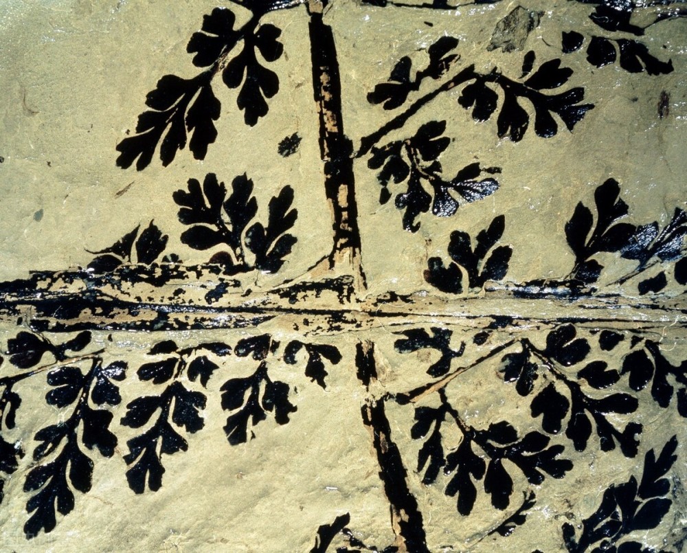 地球|没有它，地球可能就无法维持生命