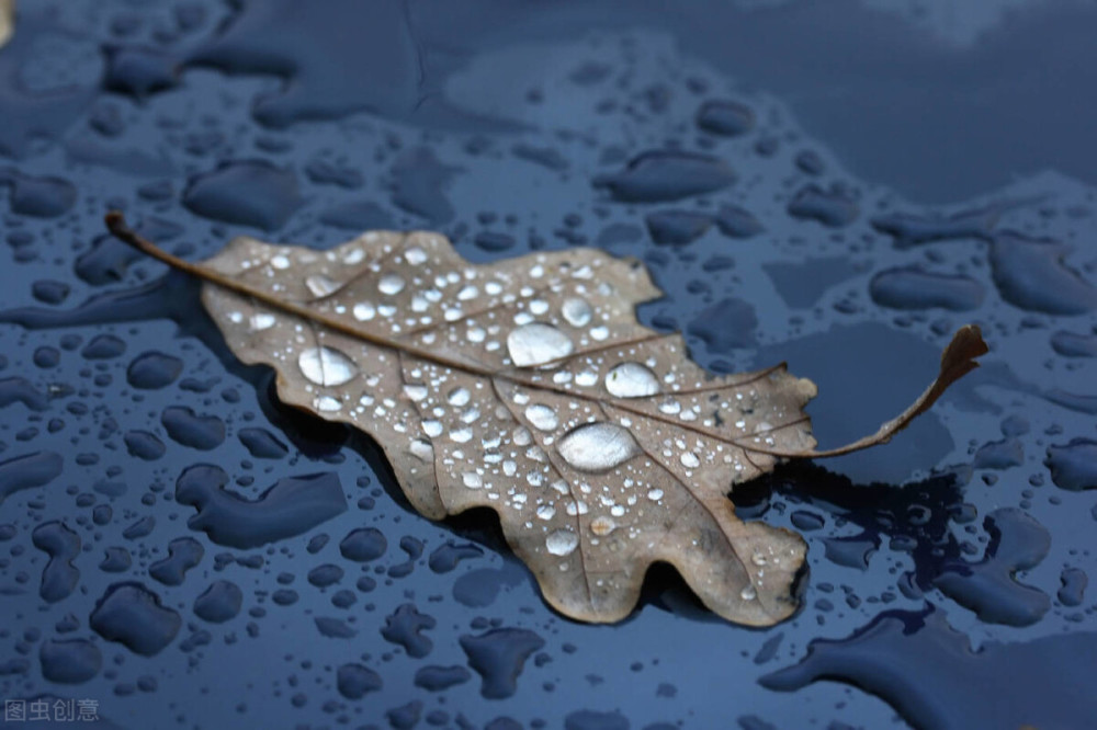 地球|没有它，地球可能就无法维持生命