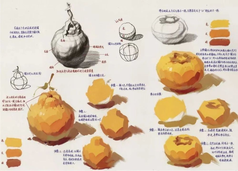 静物|【色彩教材】水粉静物超全解析与示范，不会画色彩的赶紧保存