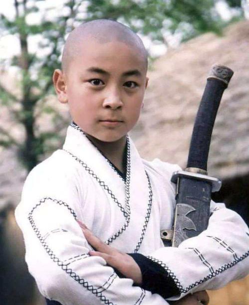 大侠霍元甲|《霍元甲》陈真简直就是“愣头青”，释小龙的声音也出戏