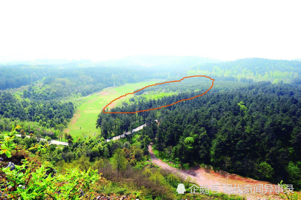 都溪林场|中国UFO三大悬案之三：空中怪车事件