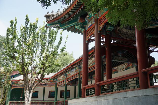 中山公园|全国最冷门中山公园，挨着北京天安门和故宫，门票3元，游客鲜少