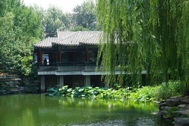 中山公园|全国最冷门中山公园，挨着北京天安门和故宫，门票3元，游客鲜少