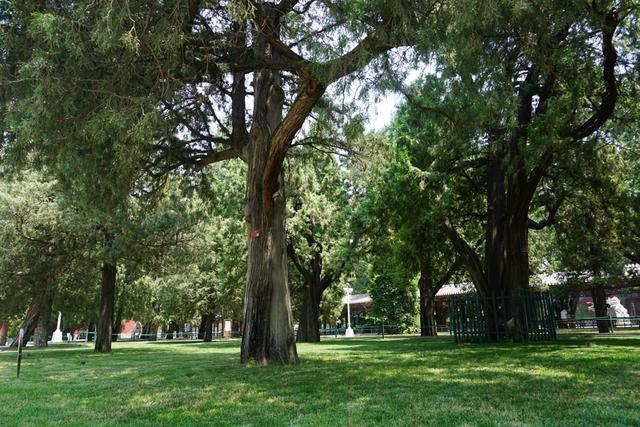 中山公园|全国最冷门中山公园，挨着北京天安门和故宫，门票3元，游客鲜少