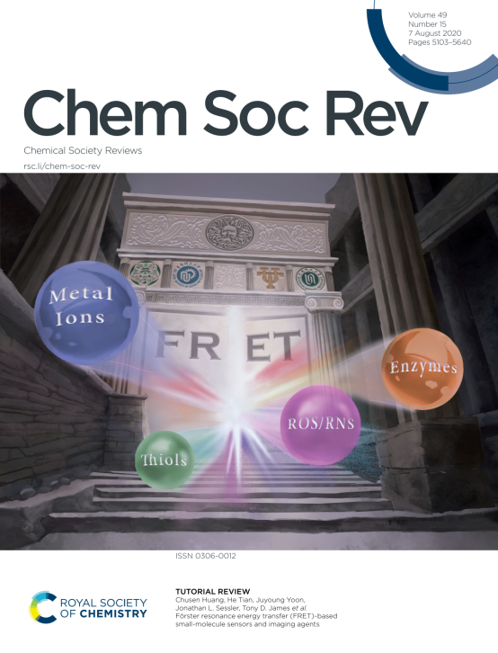 Chem Soc Rev F Rster 