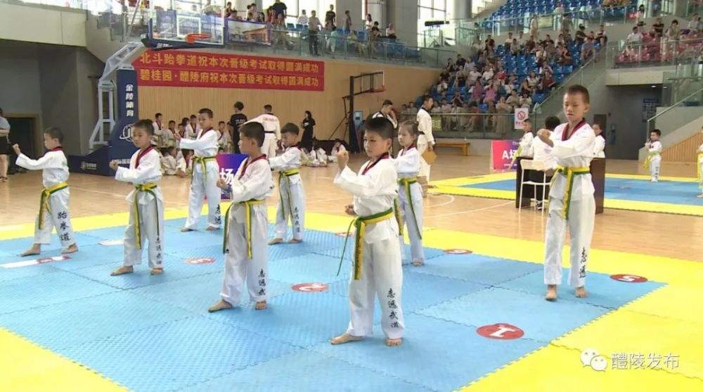 全民健身日 今天 你运动了吗 腾讯新闻