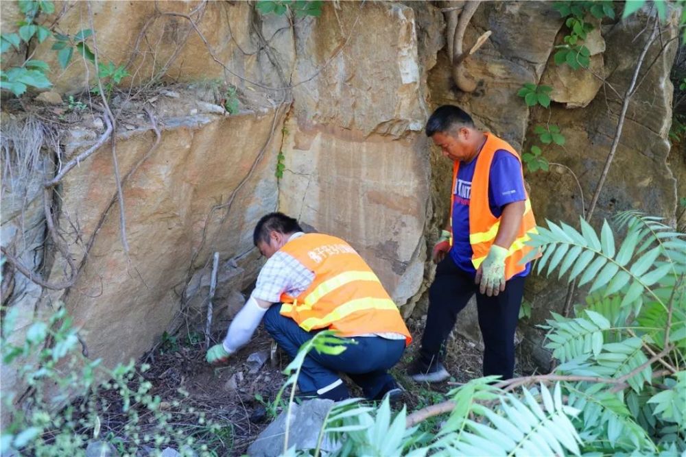 北京|裸露岩山穿上“绿新衣”！北京房山这里再添“立体美”！