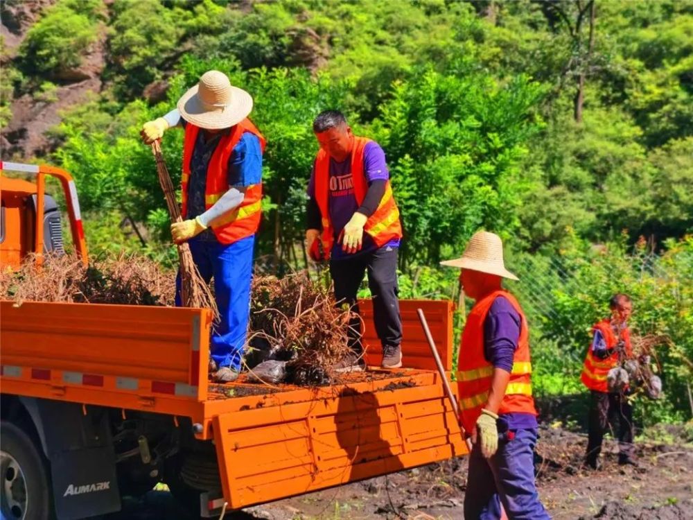 北京|裸露岩山穿上“绿新衣”！北京房山这里再添“立体美”！