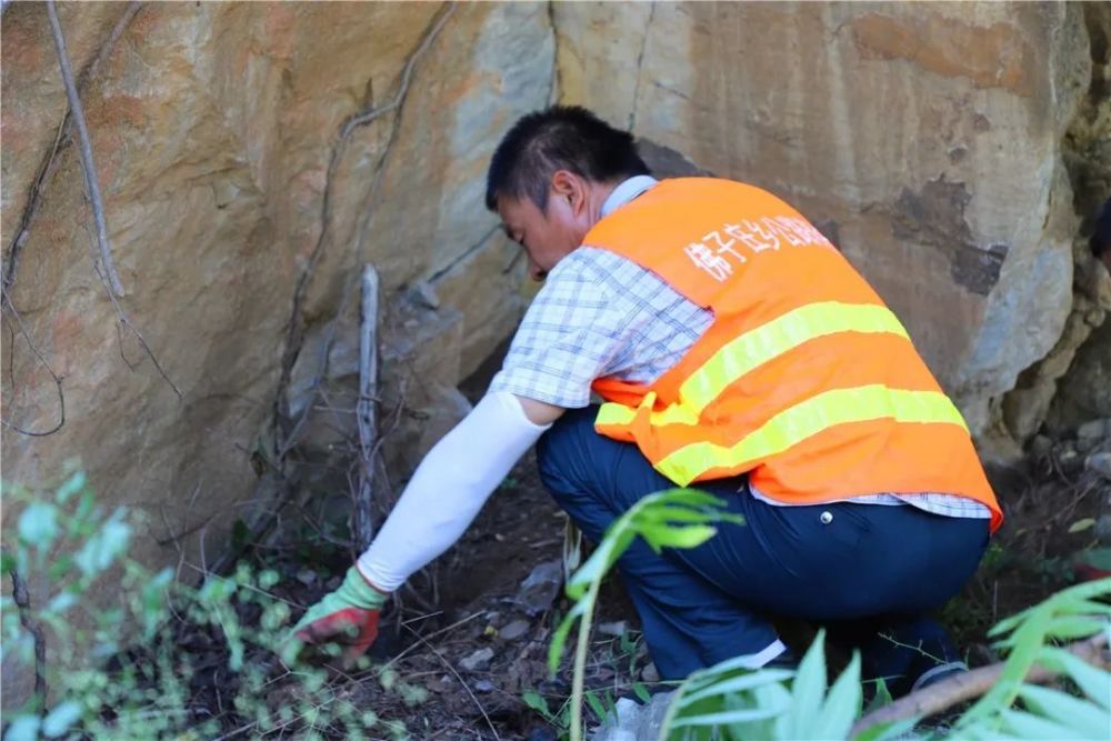 北京|裸露岩山穿上“绿新衣”！北京房山这里再添“立体美”！