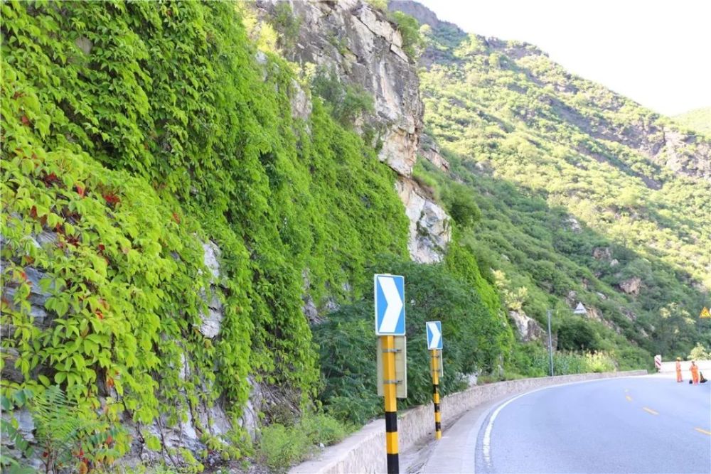 北京|裸露岩山穿上“绿新衣”！北京房山这里再添“立体美”！