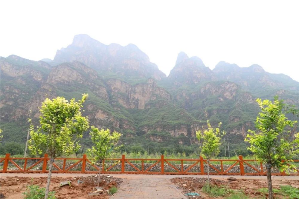 北京|裸露岩山穿上“绿新衣”！北京房山这里再添“立体美”！