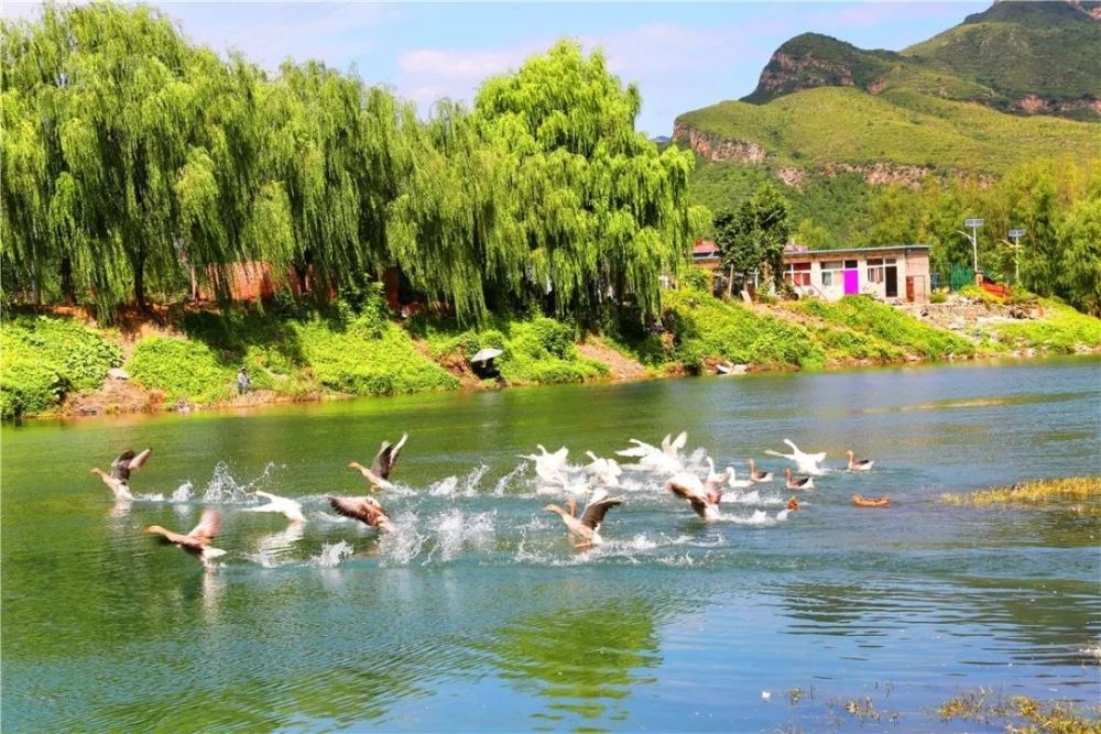 北京|裸露岩山穿上“绿新衣”！北京房山这里再添“立体美”！