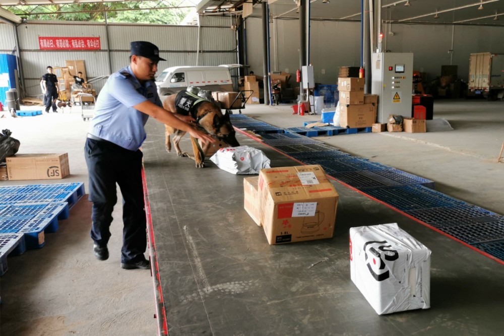 电信网络诈骗|电信诈骗用的银行卡，警犬隔着包裹也能闻出来