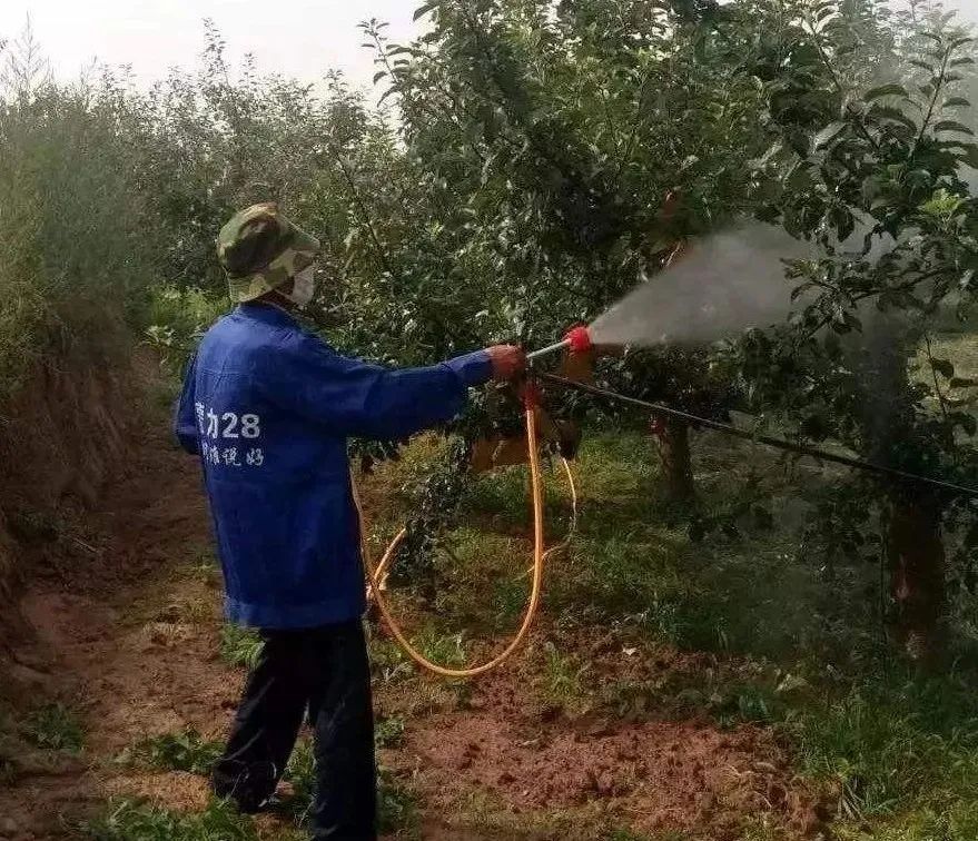 施肥|果树施肥这几招，你会吗