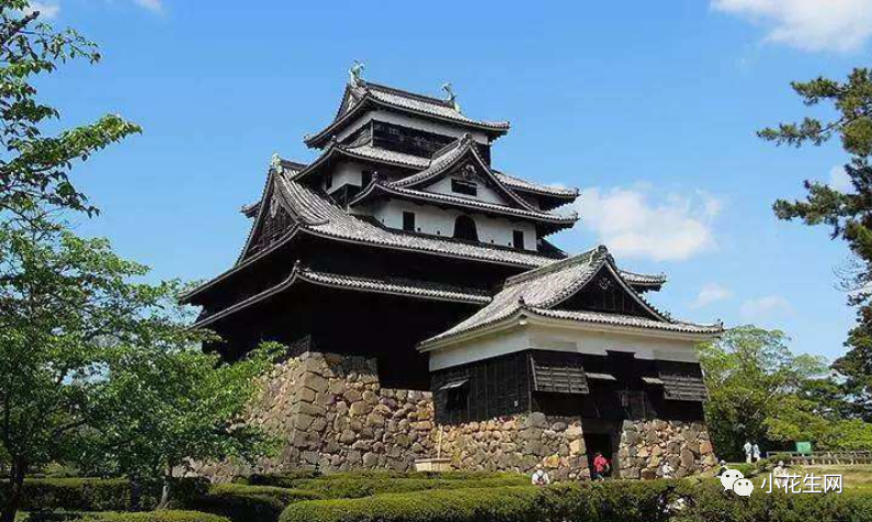 三个海归和移民家庭的真实感受 海外经历 对我养娃影响至深 腾讯新闻