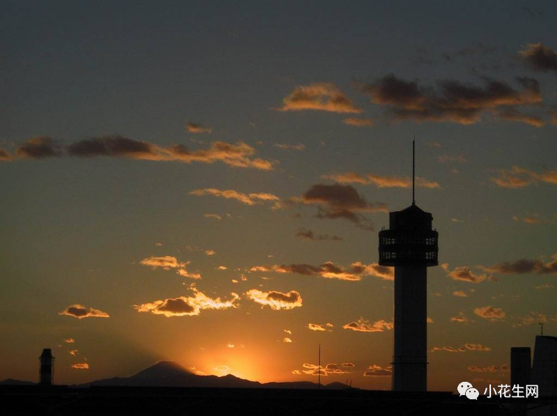 三个海归和移民家庭的真实感受 海外经历 对我养娃影响至深 腾讯新闻