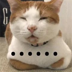 赵丽颖|综艺里的魔鬼剪辑能不能停一停啊？