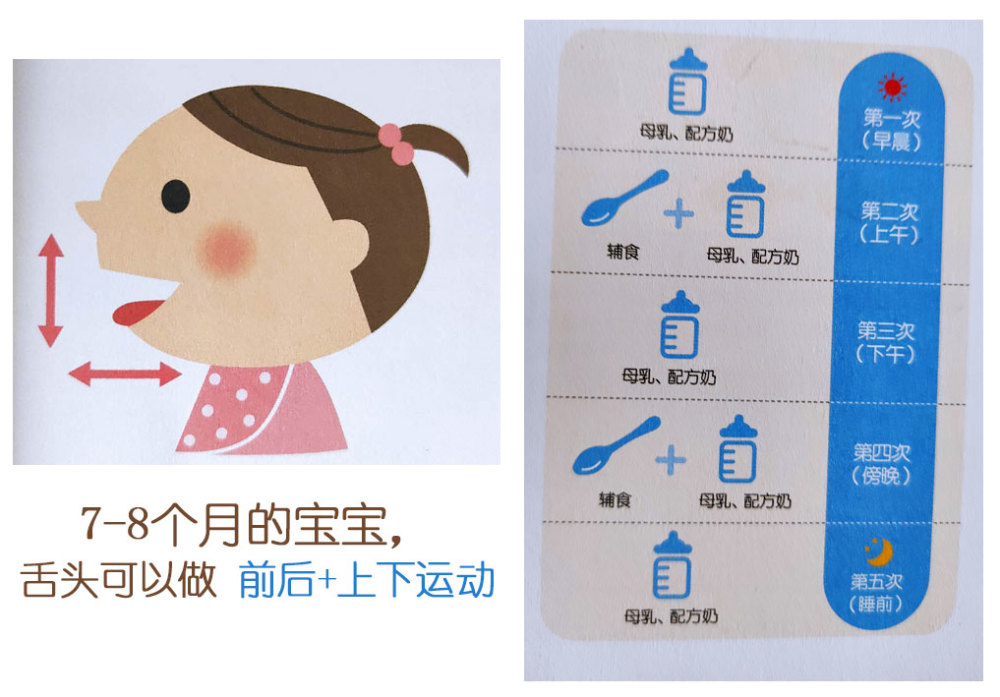 618個月寶寶發育特點輔食添加次數一天輔食安排家長收藏