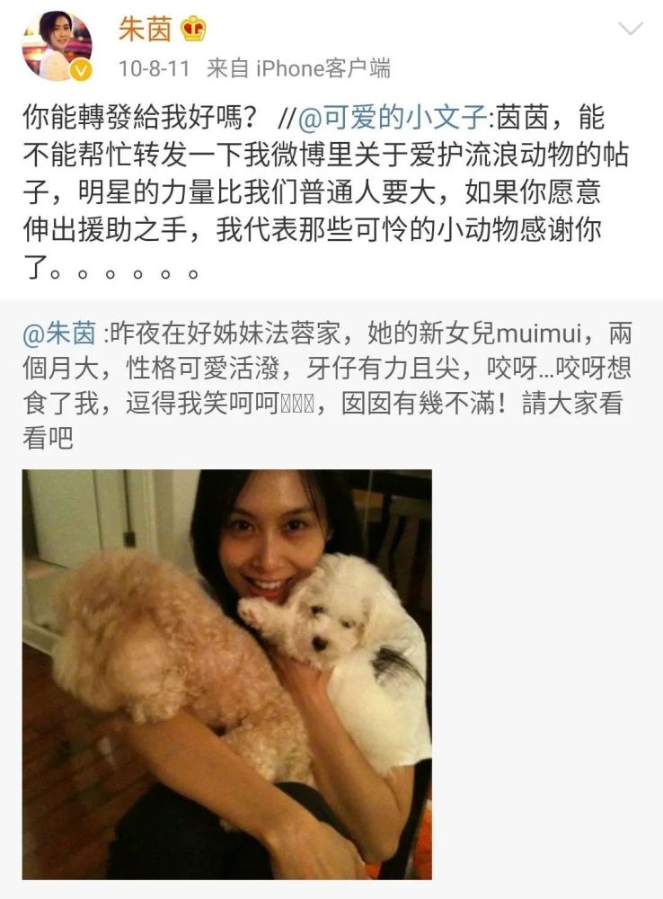 黄贯中|有一种爱情叫朱茵和黄贯中