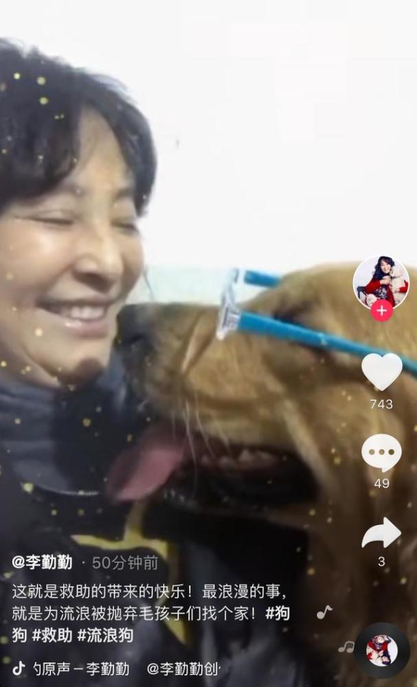 李勤勤|57岁李勤勤要和流浪狗相依为命？曾说不嫁中国人，如今单身太落寞