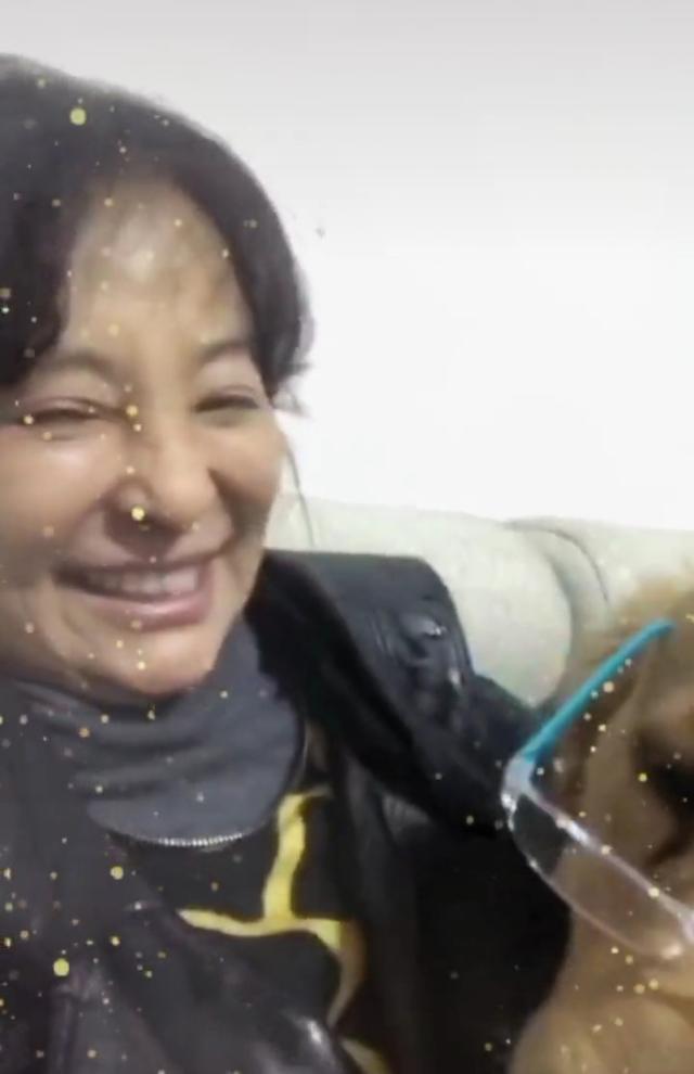 李勤勤|57岁李勤勤要和流浪狗相依为命？曾说不嫁中国人，如今单身太落寞