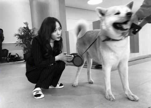 王珞丹|王珞丹想翻红，网友说的报名《浪姐》可能不行