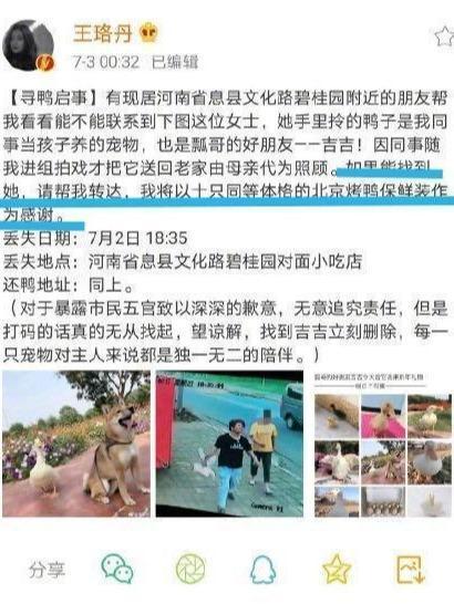 王珞丹|王珞丹想翻红，网友说的报名《浪姐》可能不行