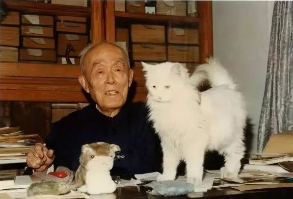 季羡林和猫我同虎子和咪咪都有深厚的感情.