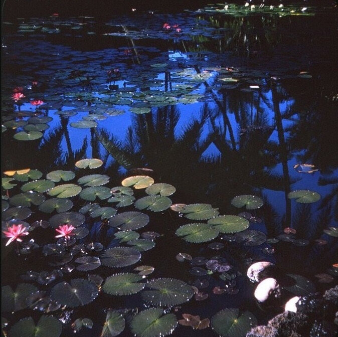 优质封面图 你会来的 我在等