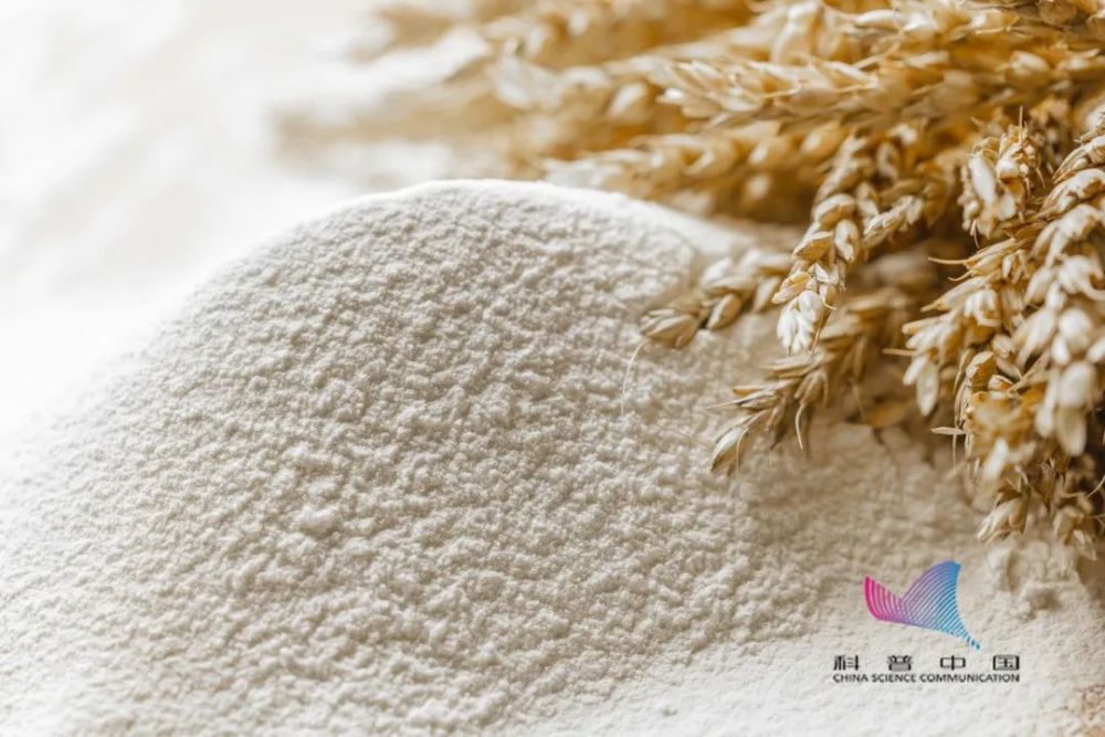 小虫|米面为啥凭空出现小虫？会传染疾病吗？看完你就知道了