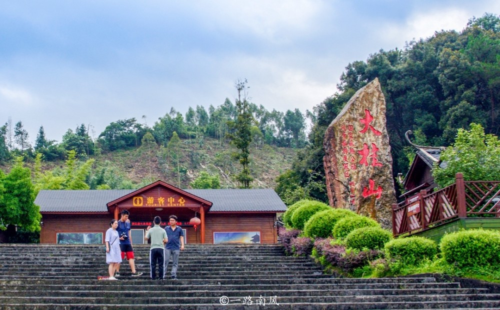 大桂山林场图片