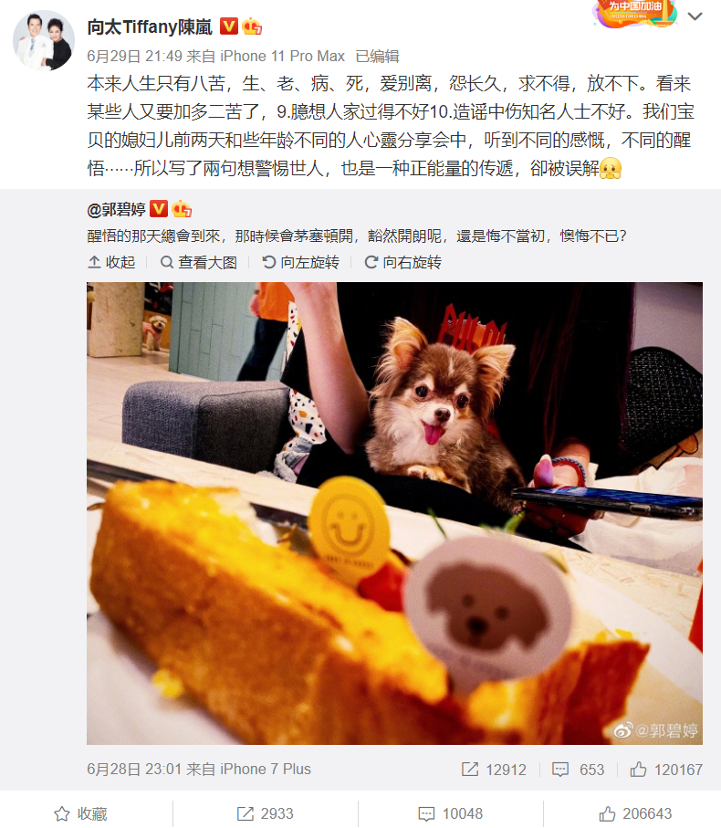 郭碧婷|郭碧婷上线20余次不表态，向佐删除“将升级当爸爸”动态