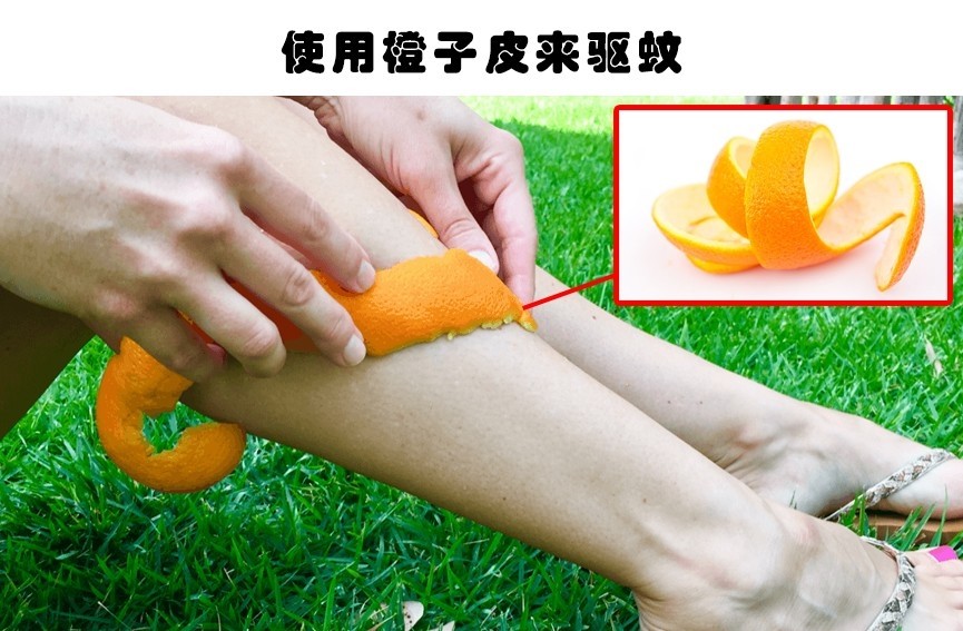 易拉罐|求生小技巧：在面对危险的情况下，能给人带来帮助的6个技巧