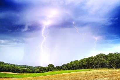 闪电|森林中古老大树的“隐秘杀手”竟然是它？！今后它现身频率还将增加