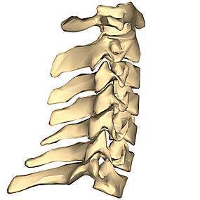 胸椎|胸椎小关节紊乱造成的各种疼痛