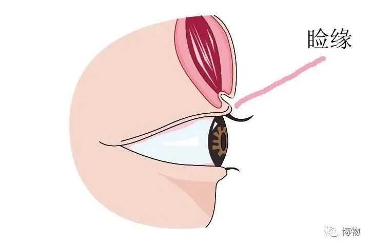 双眼皮|说出来你可能不信，wink能让眼睛变大