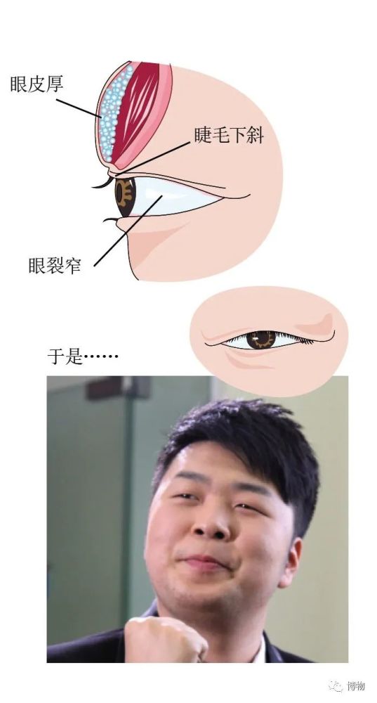 双眼皮|说出来你可能不信，wink能让眼睛变大