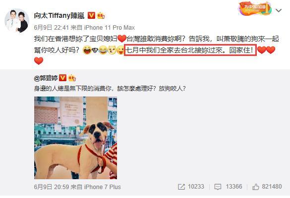 郭碧婷|郭碧婷即将临产，向太透露结婚登记过期后，向佐宣传品牌被骂惨了