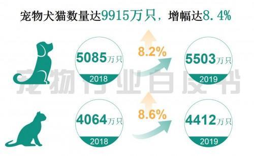 猫咪挠沙发、咬人，应该怎样惩罚它？