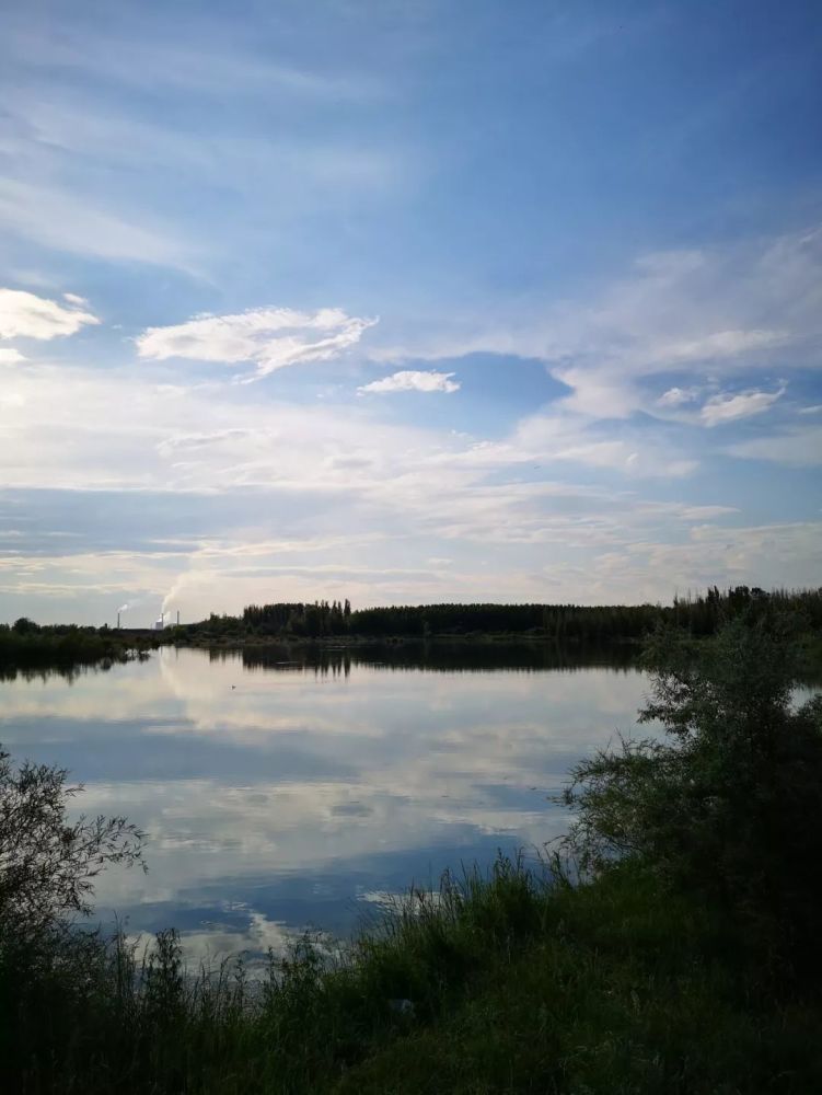 伊犁河湿地的芳草湖